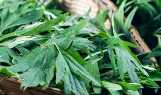 艾糍的做法（艾糍的做法作文）