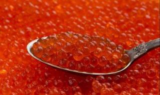 鱼籽的做法大全（鲤鱼鱼籽的做法大全）