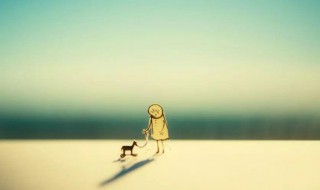 人生苦短下一句怎么接（人生苦短下一句怎么接押韵）