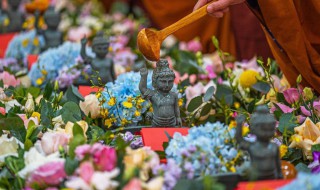 浴佛节适合用什么花 浴佛节供奉什么花