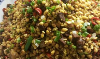 辣炒豆嘴做法窍门 辣炒豆嘴做法窍门大全