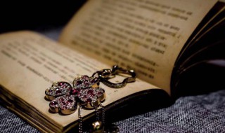 着字的笔顺 着字的笔顺拼音