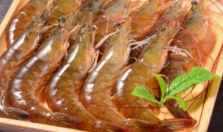 腌制海鲜做法（腌海鲜的做法）