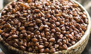 黑苦荞茶的功效与作用及禁忌（黑苦荞茶的功效与作用及禁忌症）