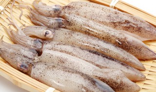 鱿鱼怎么清洗 鱿鱼怎么清洗才干净