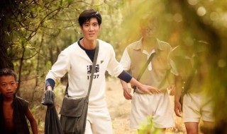 王力宏演过的电影(王力宏演过的电影有哪些)