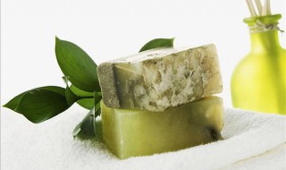 皂基成分(皂基成分表)