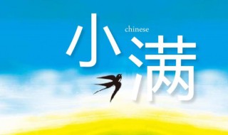 介绍小满节气的演讲稿 介绍小满节气的演讲稿100字