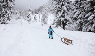 雪崩常常发生在什么地区（雪崩常常发生在什么地方）