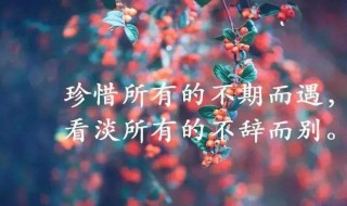 一发就会被秒赞的句子（一发就会被秒赞的句子文案）