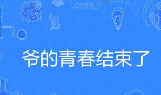 爷青结什么意思（爷青结是褒义还是贬义）