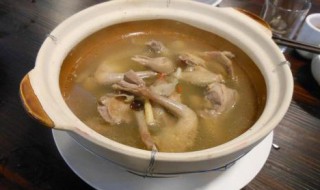 鸽子怎么炖好吃又营养（天麻炖鸽子怎么炖好吃又营养）