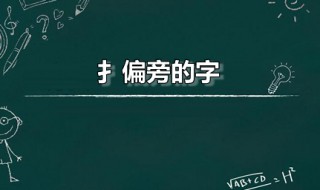 扌偏旁的字 扌偏旁的字有哪些字