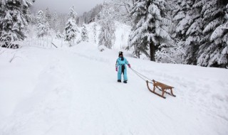 雪天如何防滑（雪天怎样防滑）