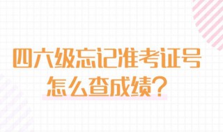 四级忘记准考证号怎么查成绩 四级忘记准考证号怎么查成绩啊