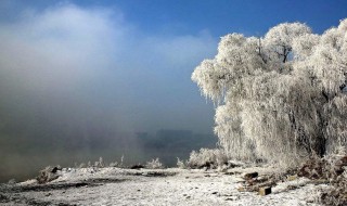 下雪天的心情说说（下雪天的心情说说有孩子）