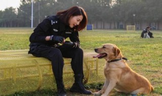 警花与警犬演员表介绍 警花与警犬演员表介绍金昌俊