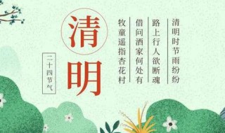 关于清明扫墓的作文（关于清明扫墓的作文800字）