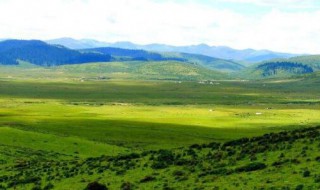 松潘草地多大面积 松潘草地多大面积啊