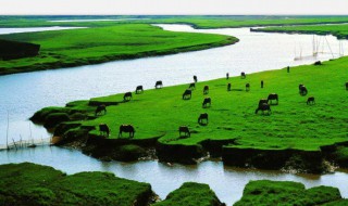 鄱阳湖怎么读bo 鄱阳湖怎么读bo还是读鄱阳湖