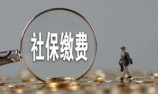 安徽社保怎么交费（安徽社保怎么交费上海社保）