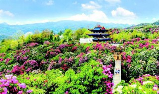 毕节市旅游景点有哪些（毕节市旅游景点有哪些地方好玩）