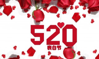 520表白的精选话 520表白经典语录