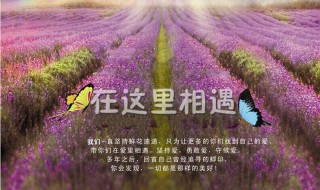 520送给老公的生日祝福语（2020年给老公的生日祝福语）