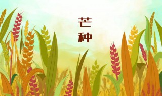 2021芒种注意什么 芒种要注意什么