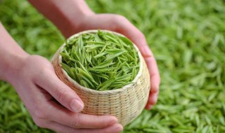 雨前茶是茶中的上品（"雨前茶"是茶中的上品,此处的"雨"指的是）