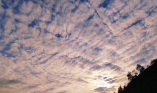 鱼鳞云和地震云的区别（天空出现鱼鳞云是什么征兆）