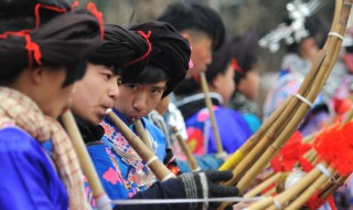 芦笙节是哪个民族的（芦笙节是哪个民族的特色）