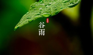 谷雨有什么常见的习俗 谷雨有什么民俗