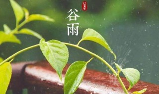 谷雨时节的习俗 谷雨时节的气候特征有哪些?