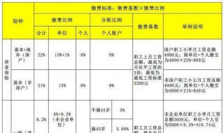 养老保险公司缴纳比例介绍（养老保险公司与个人缴纳比例2021）