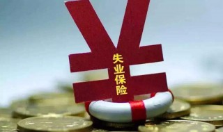 网上申请失业金领取流程（深圳网上申请失业金领取流程）