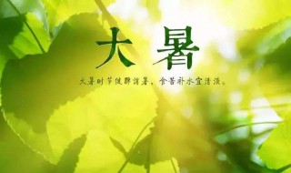 大暑节气吃什么好（大暑节气吃啥好）