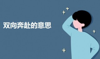 双向奔赴是什么意思（双向奔赴是什么意思意味着什么）