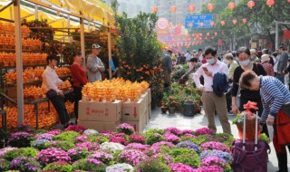 春节相关营销广告（春节营销广告视频）