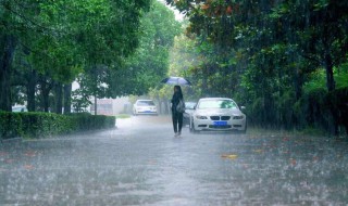 暴雨分为什么 暴雨分为什么颜色