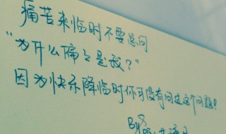 8字短句阳光（八个字阳光简短励志唯美句子）