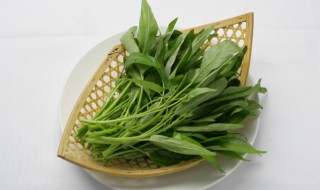 怎么储存野菜 野菜保鲜储存方法