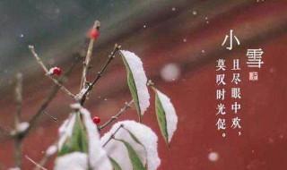 小雪节气吃什么传统食物（小雪节气吃啥?）