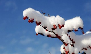 雪的形成 雪的形成属于什么物态变化