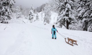 大雪节气吃什么食物 大雪节气吃什么食物幼儿园