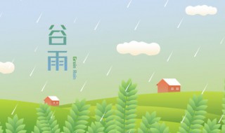 谷雨节气吃什么食物 谷雨节气吃什么食物养生