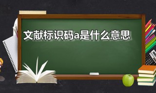 文献标识码a是什么意思 文献标识码B是什么意思