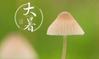 大暑节气的寓意和传统（大暑节气的寓意和传统风俗）