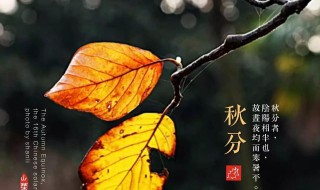 秋分节气的人生寓意（秋分意义）