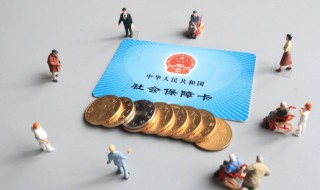 深圳社保积分怎么查询（社保积分怎么查询）